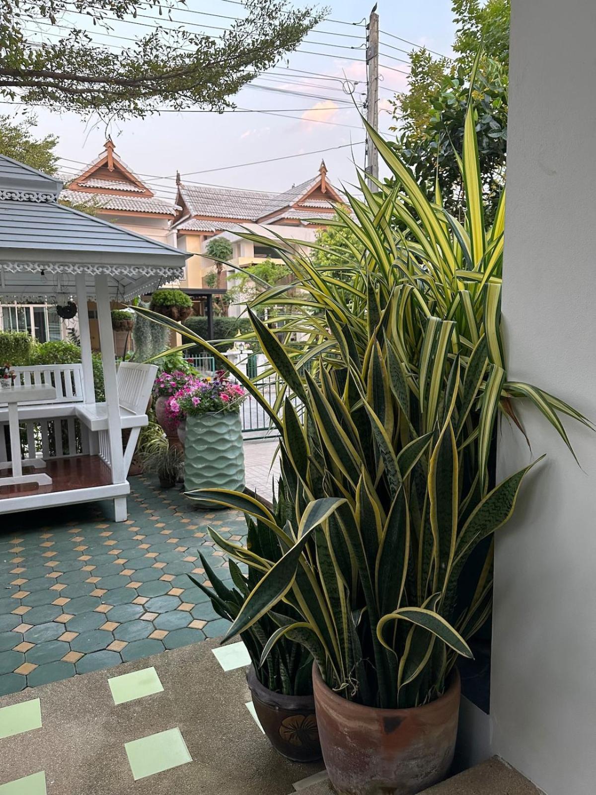 Modern Thai Style Garden * Chiang Mai
