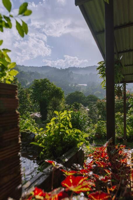 Muangkham * Chiang Mai