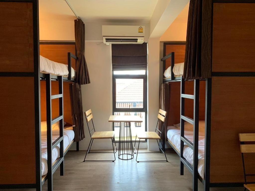 Lazy Gibbon 2 - Haiya Hostel Chiang Mai