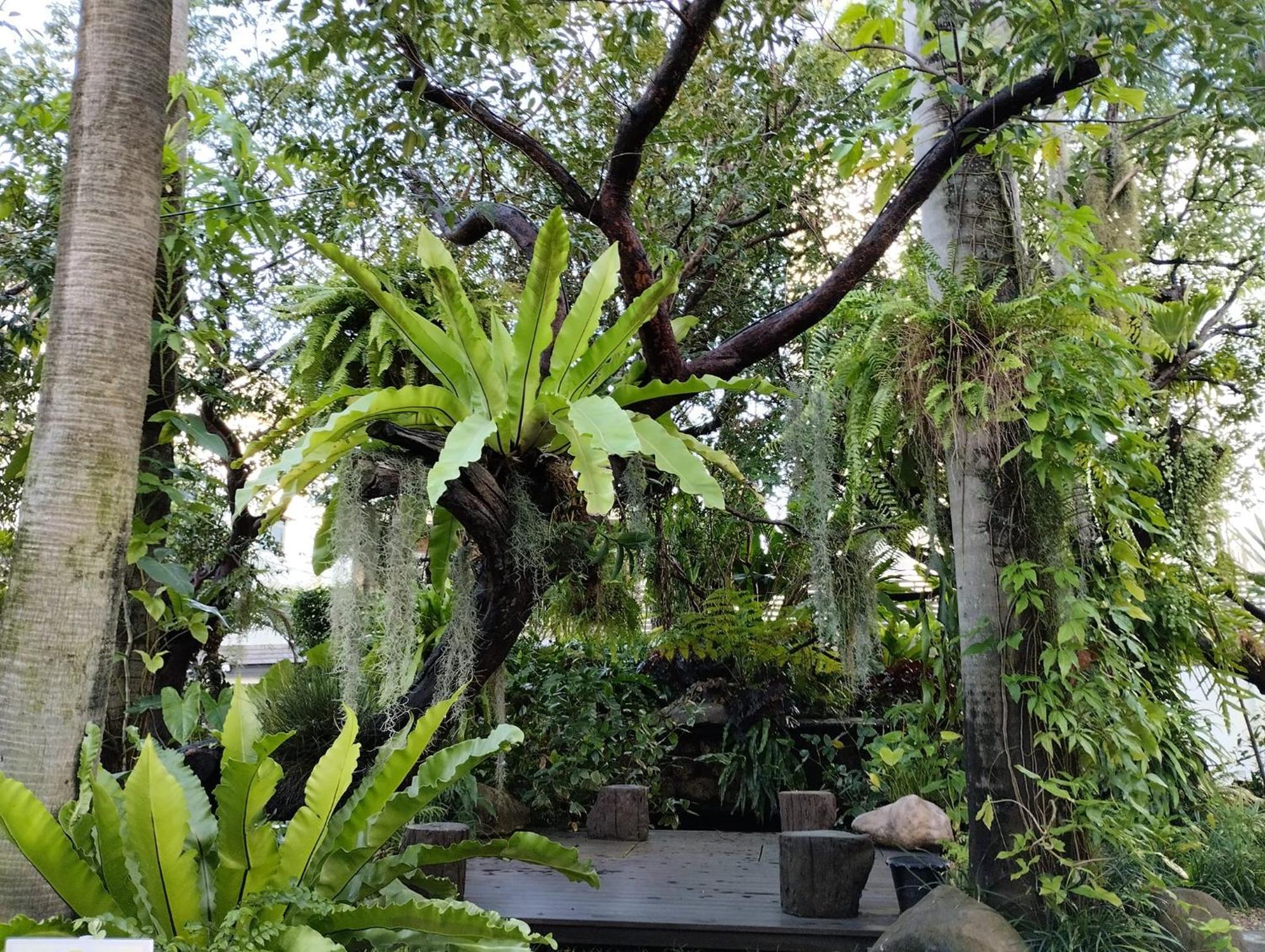 Sareeviengping Chiangmai Chiang Mai