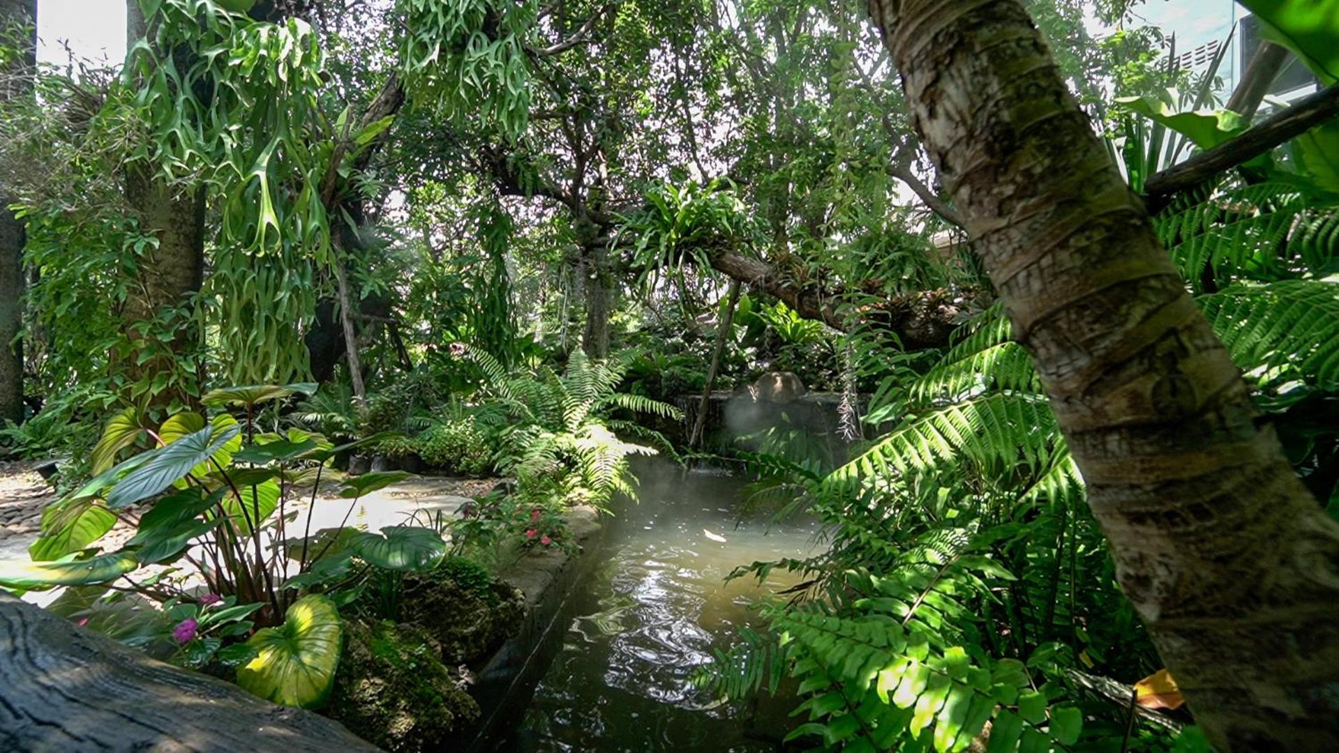 Sareeviengping Chiangmai