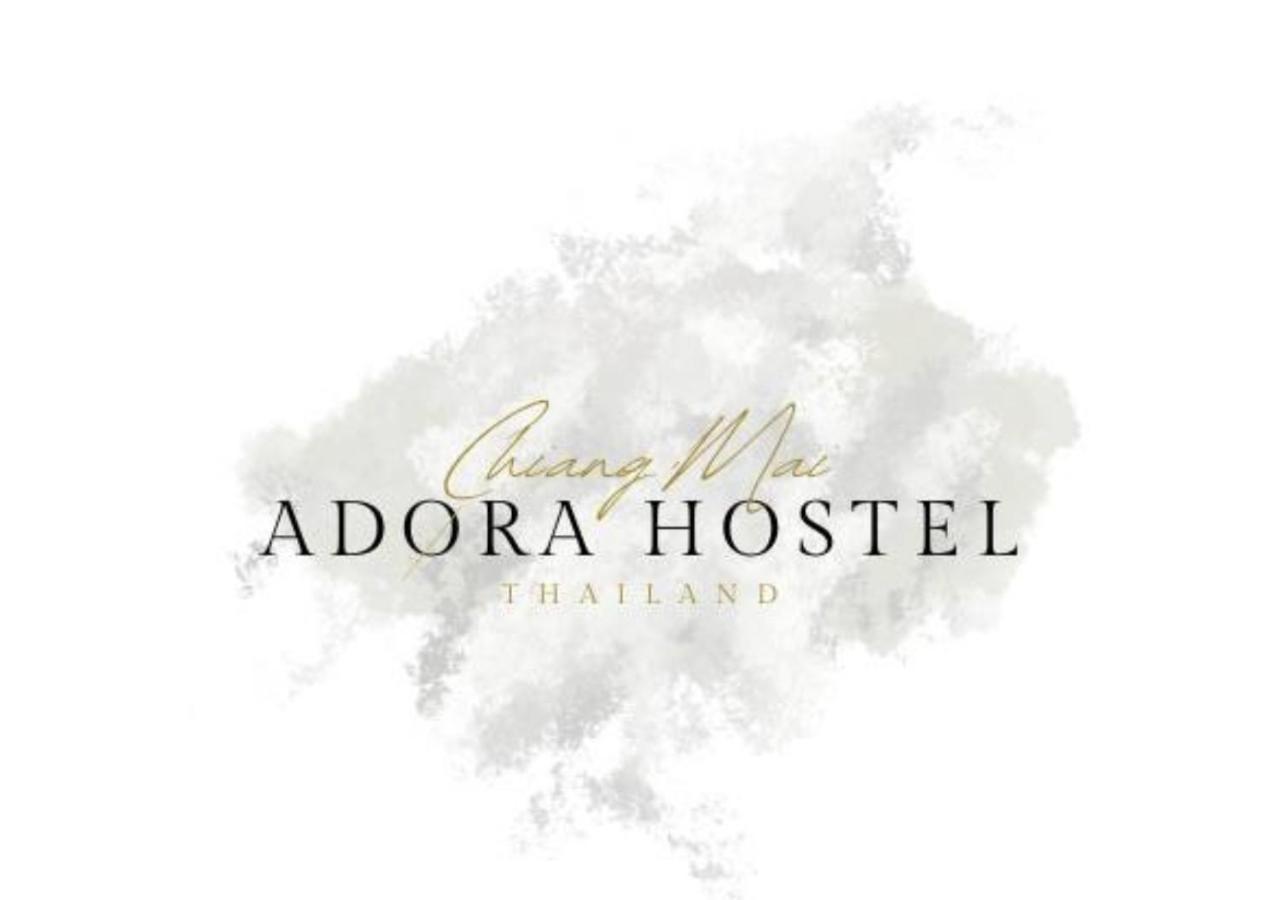 Hostel Adora