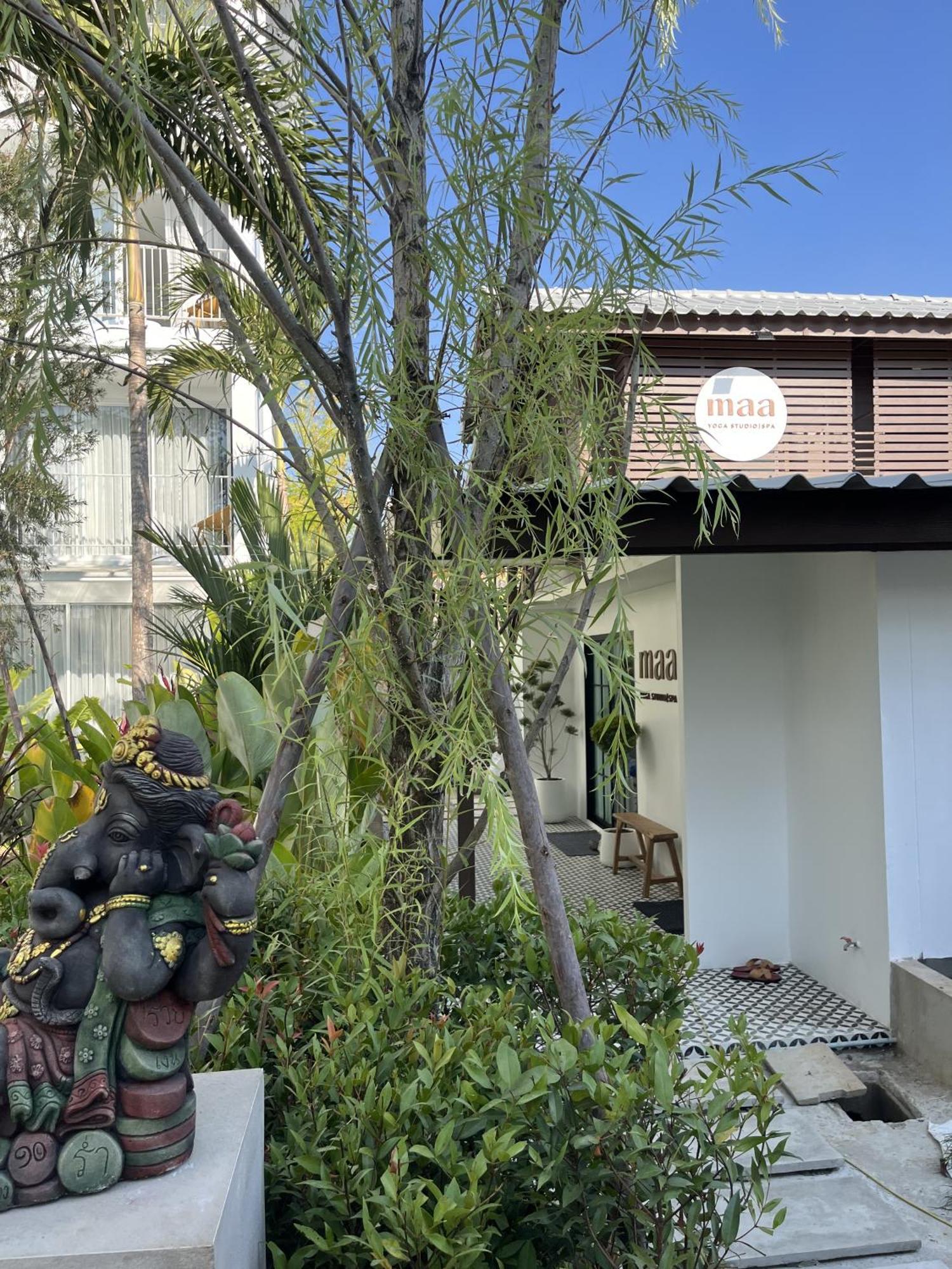 Lis Chiangmai