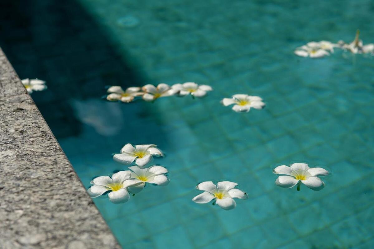 Near Ancient City, Walking Night Bazaar, 6 Bedroom 7 Bathroom Luxury Pool Garden Holiday home