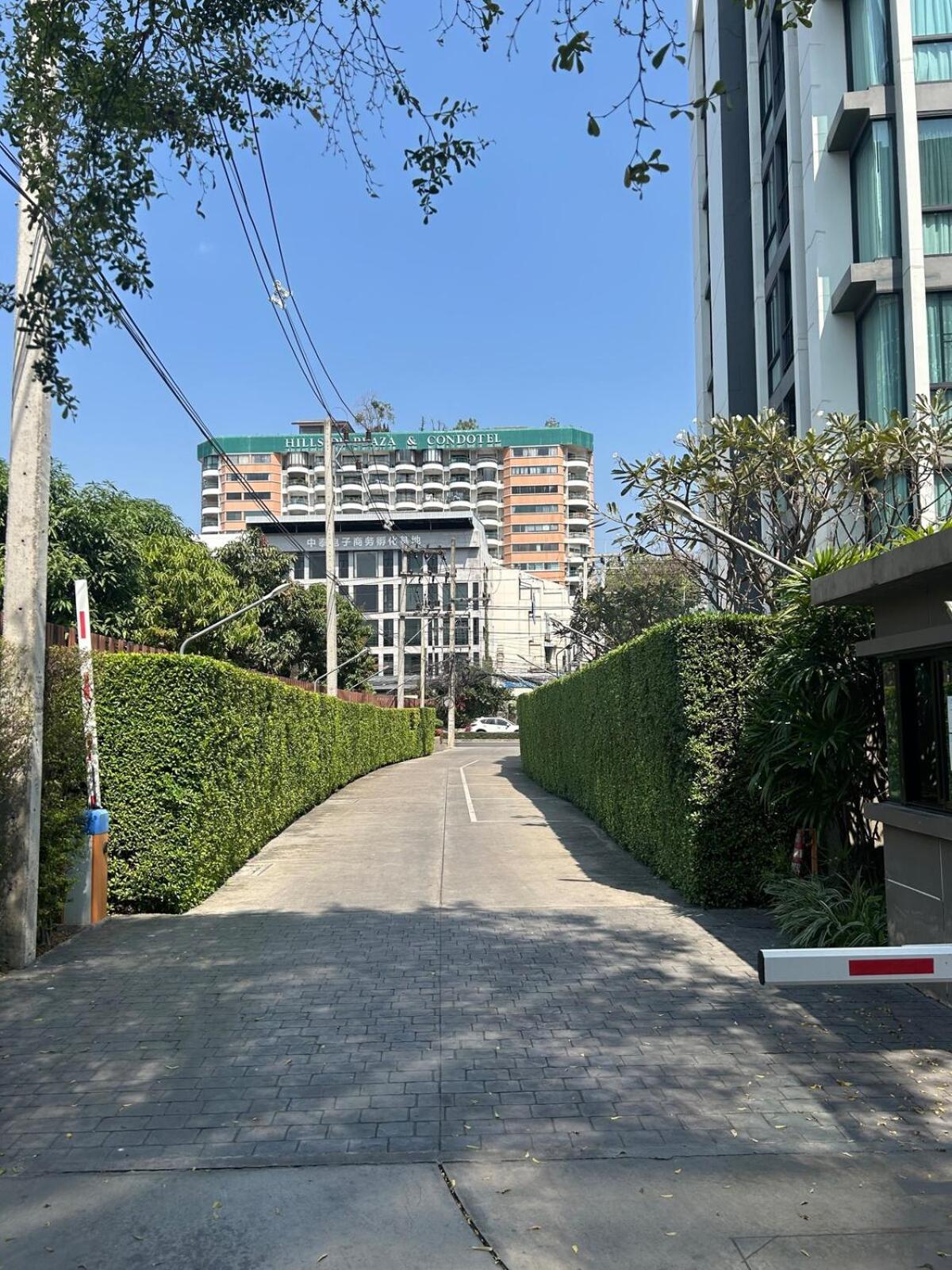 1 Bed Cozy Near Nimman Area Apartment *