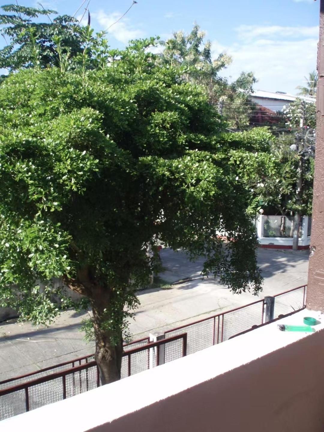 April Time Homestay