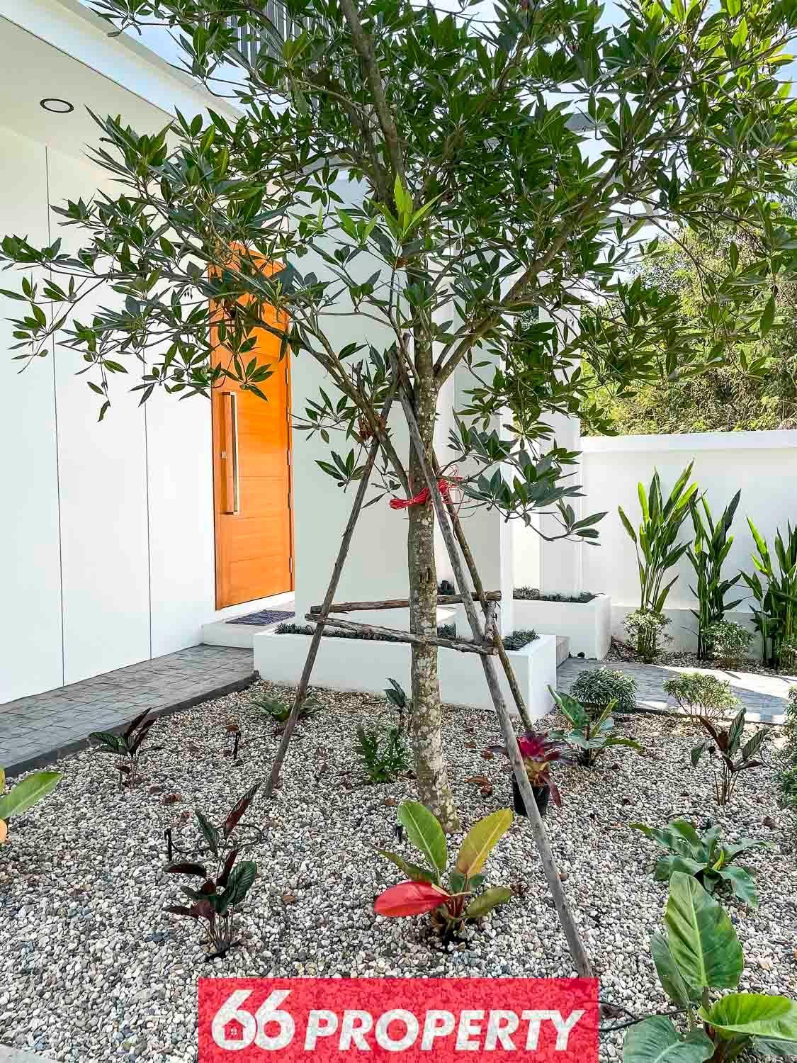 Minimal Luxury Huge Garden - 10 Min To Nimman And Old Chiang Mai