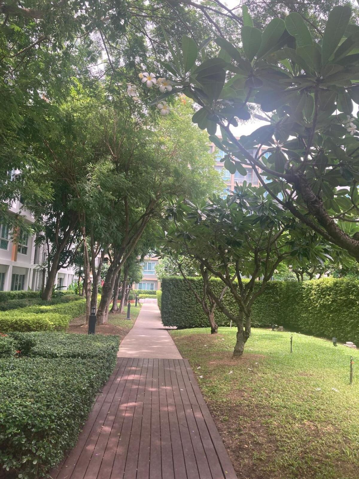 Beautiful Room, Near Mall Apartment