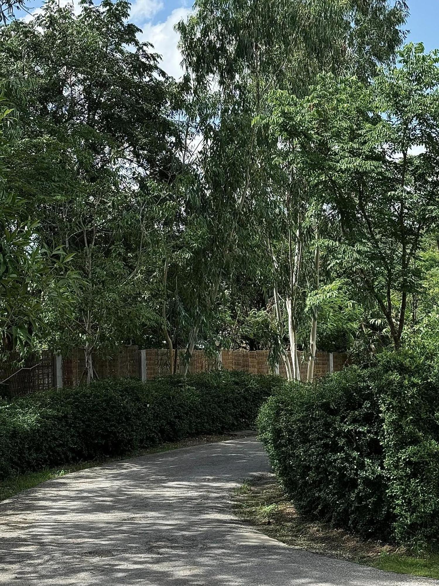 Sela Chiangmai 5* Chiang Mai