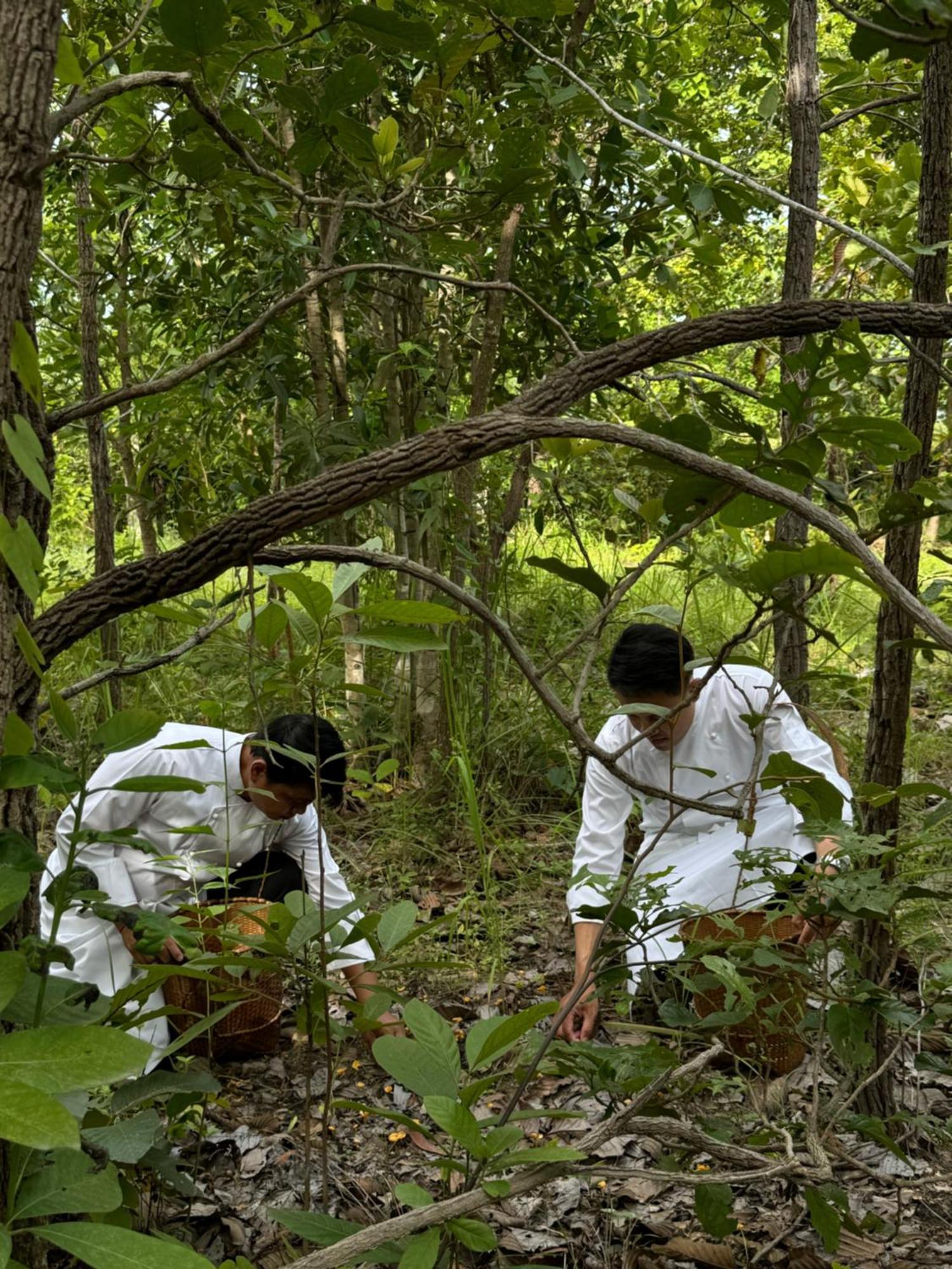 Sela Chiangmai