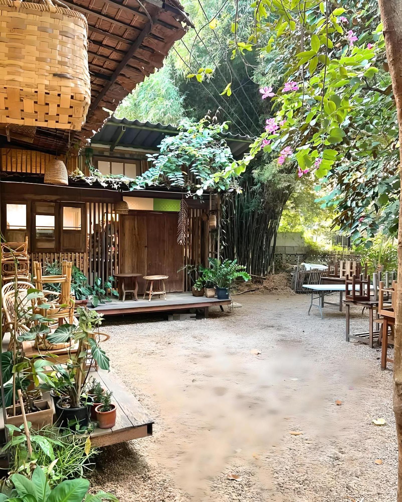 Mellow Haus Suthep Apartment