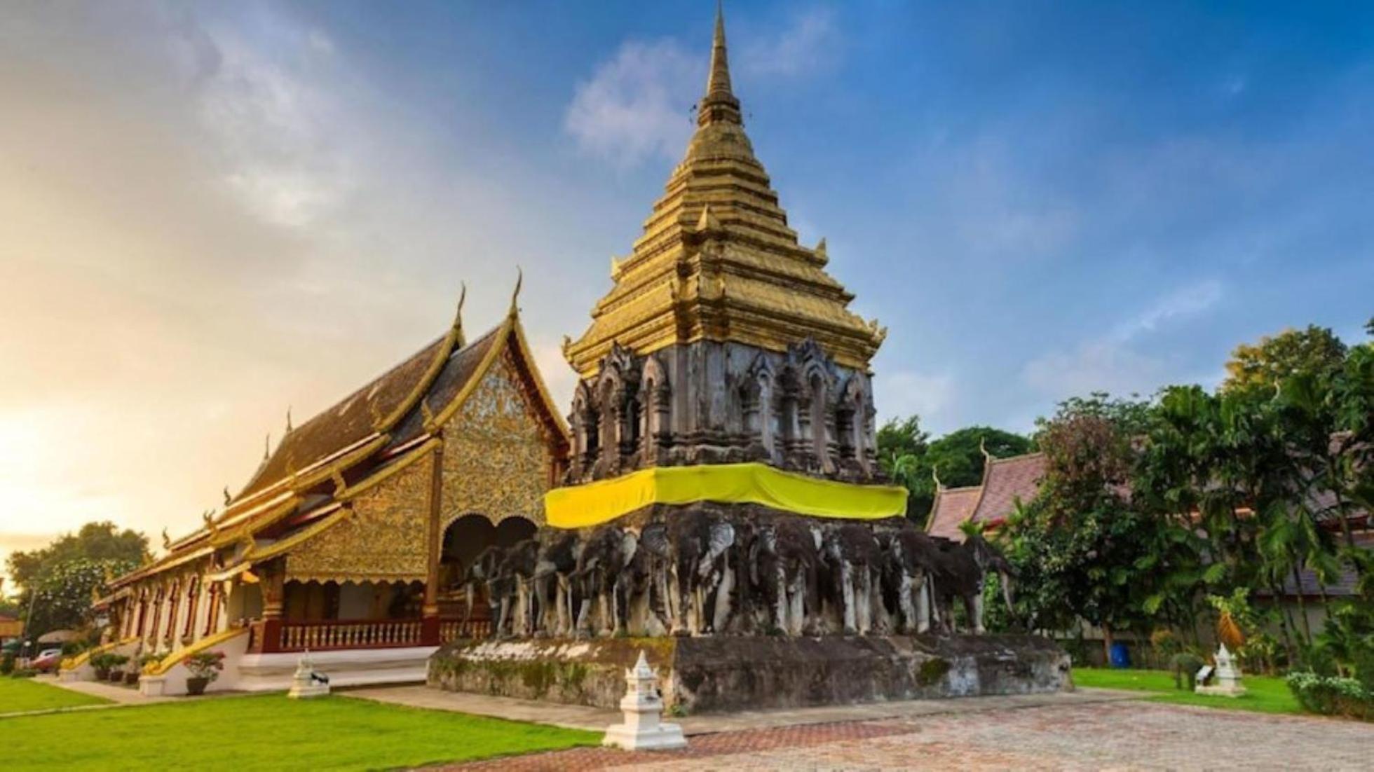 Monkey Toe Chiang Mai