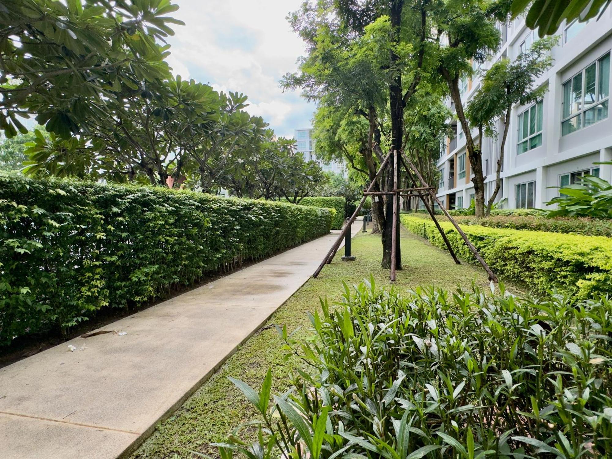 Dcondo Near The Mall,doi Suthep View Apartment *