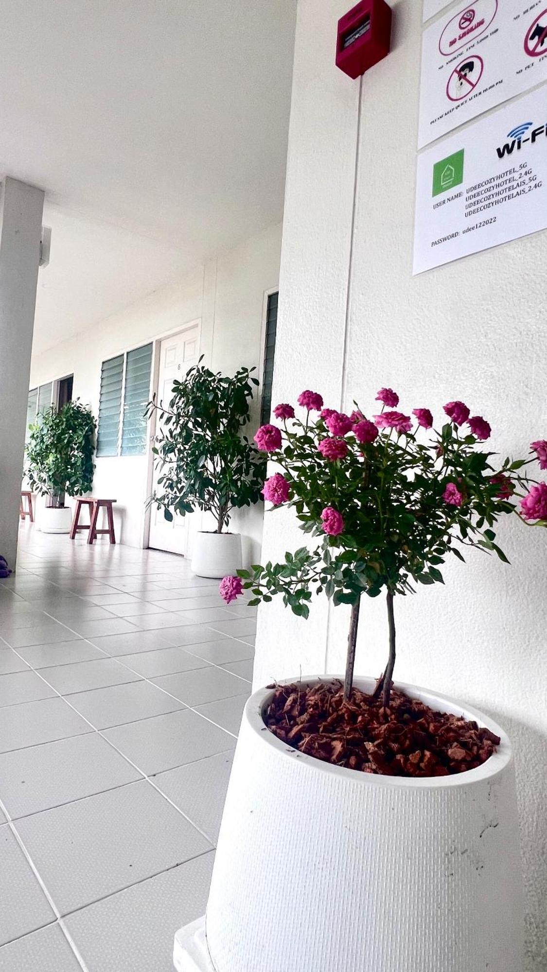 Udee Cozy Hotel Chiang Mai