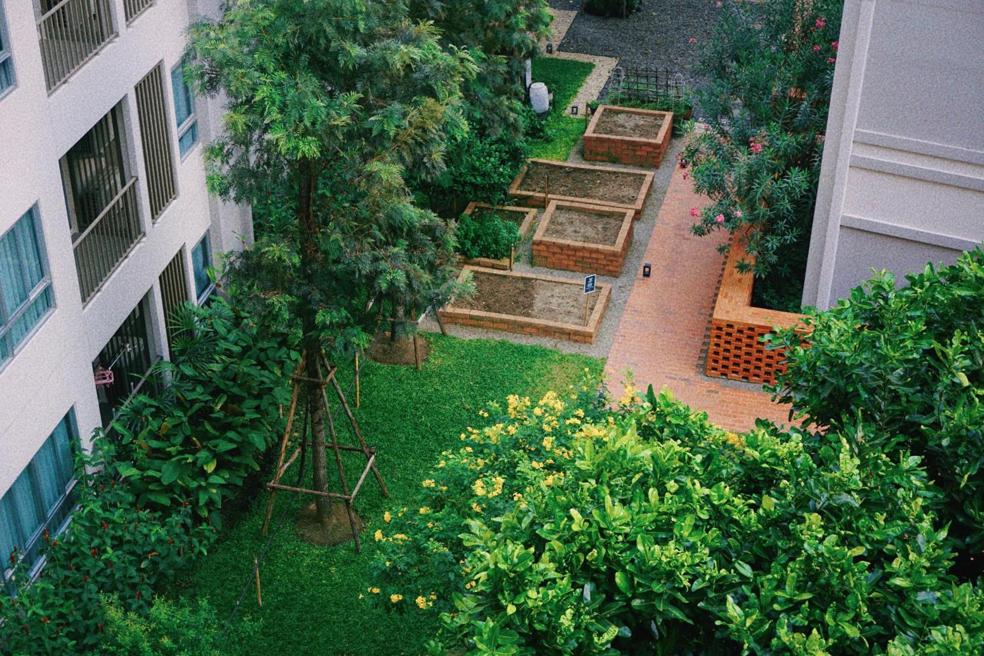 Cozy 1 Bd Pool Gym Balcony Walk To Festival * Chiang Mai