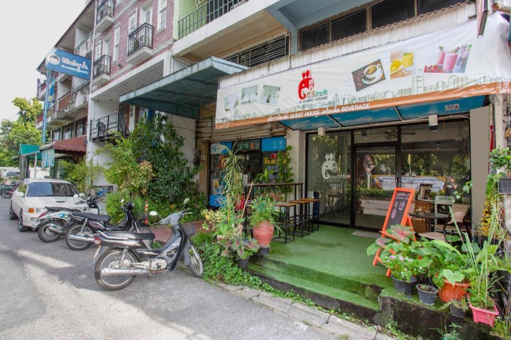 Oyo 1174 Thai Good Tastes 2*