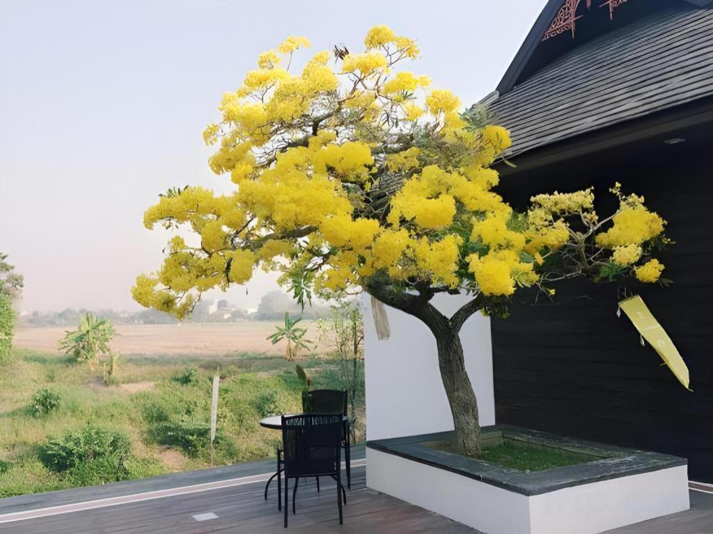 Doltara Boutique Resort 3*
