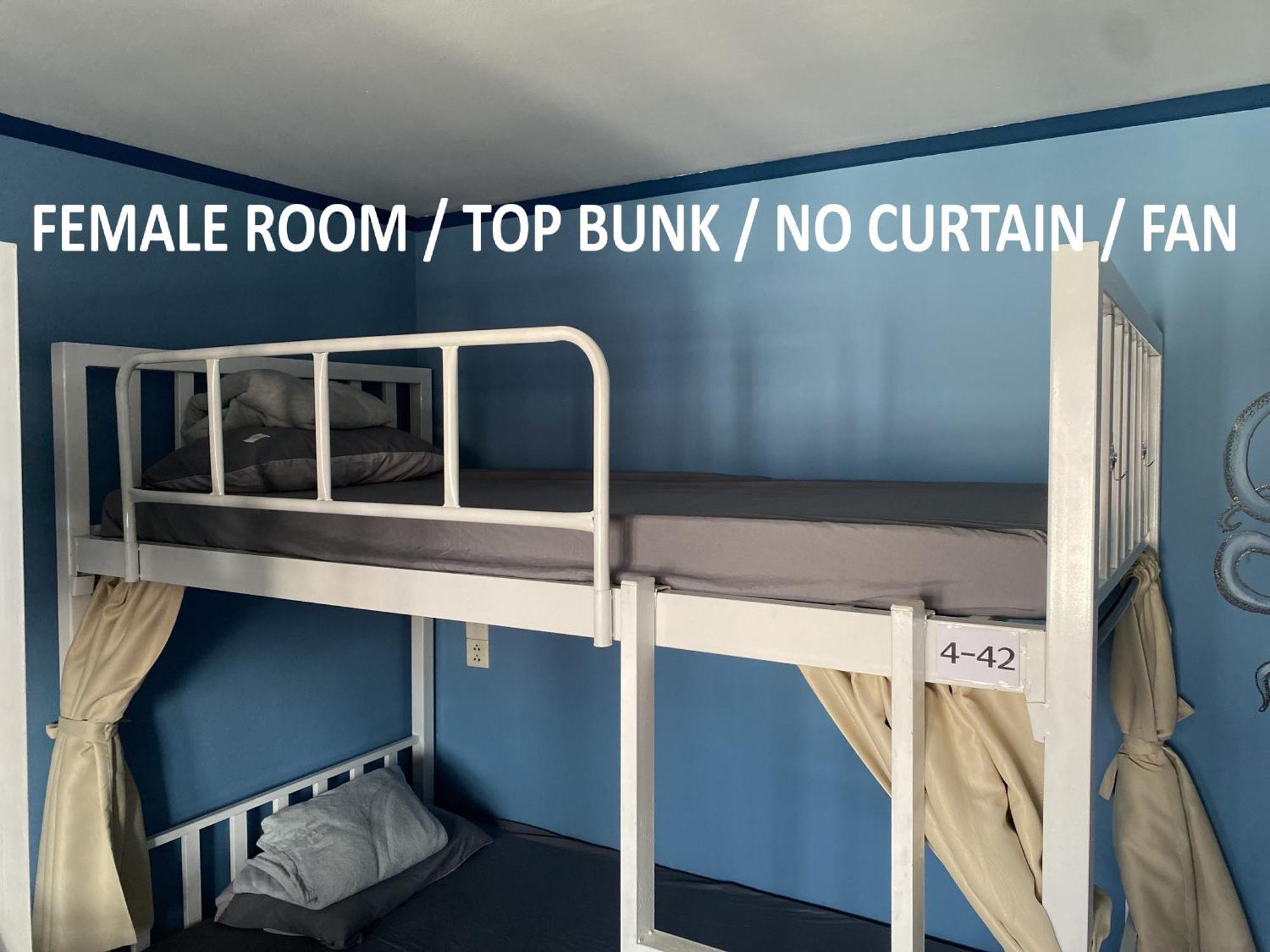 Vibecnx Hostel Chiang Mai