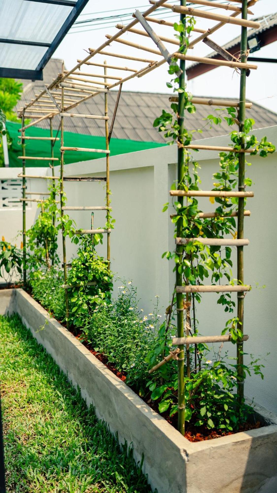 Cozy House Walkable To Maya And Nimman Area * Chiang Mai