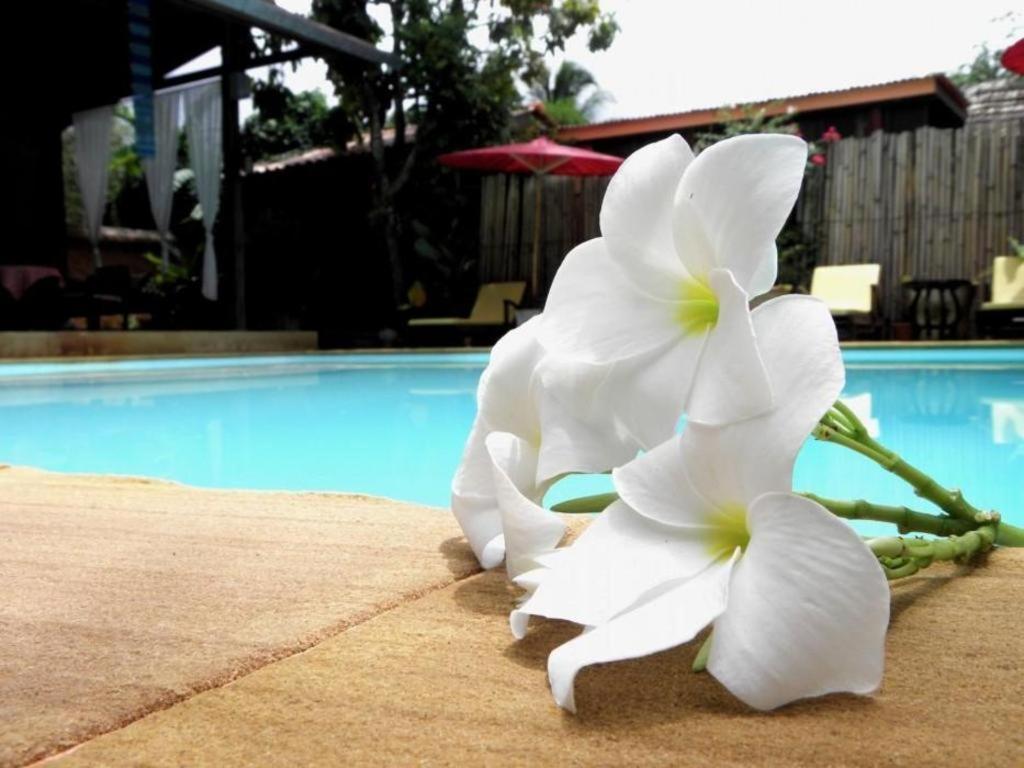 Hotel Joy's House 2*