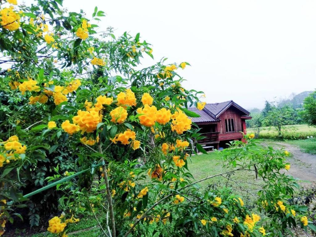 Nai Khun Khao 3*