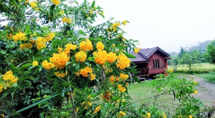 Nai Khun Khao Chiang Mai