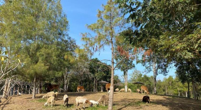 Resort Ruean Racha