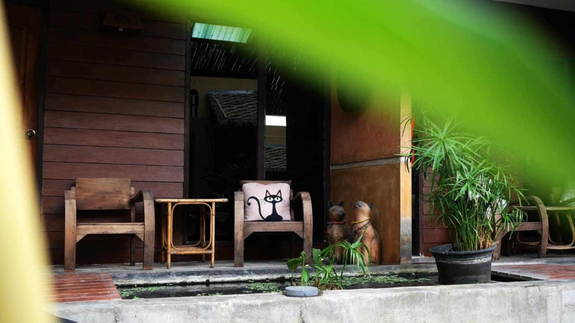 Koko Palm Guest house