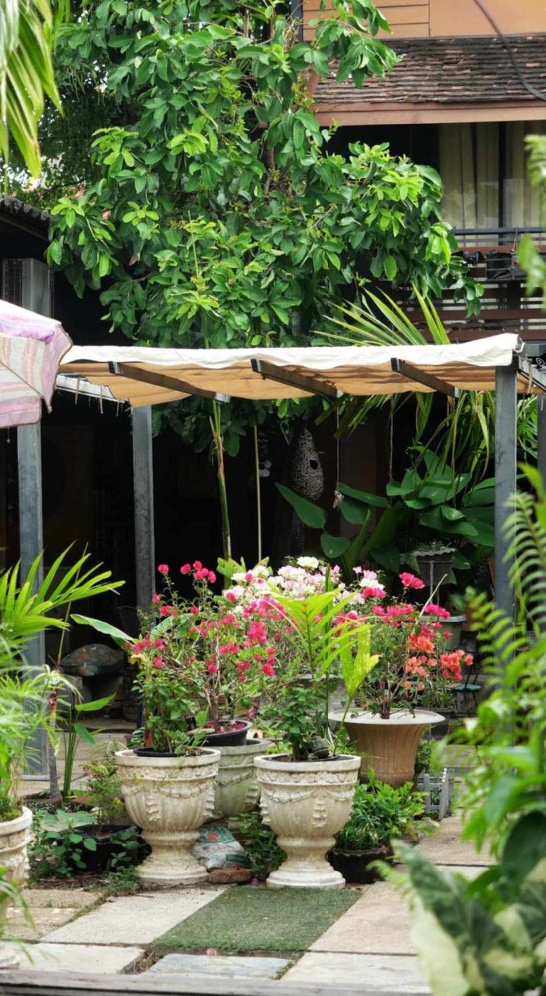Koko Palm Chiang Mai