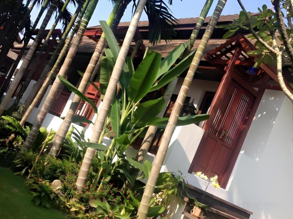 Resort Doltara Boutique