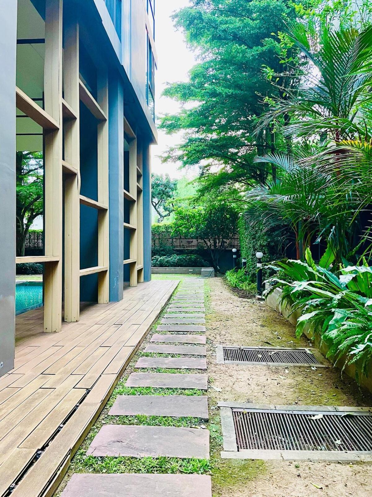 Quiet Cozy Palm Springs In Center Nimma Apartamento Chiang Mai