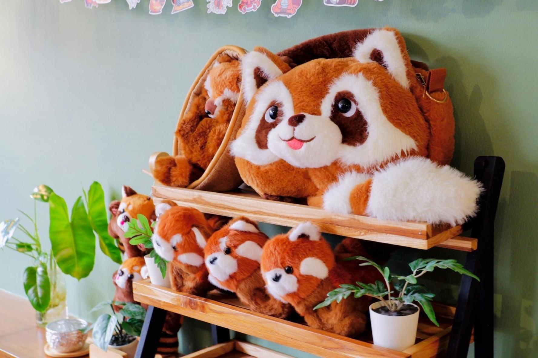 Asrama Redpanda & Cafe Chiang Mai