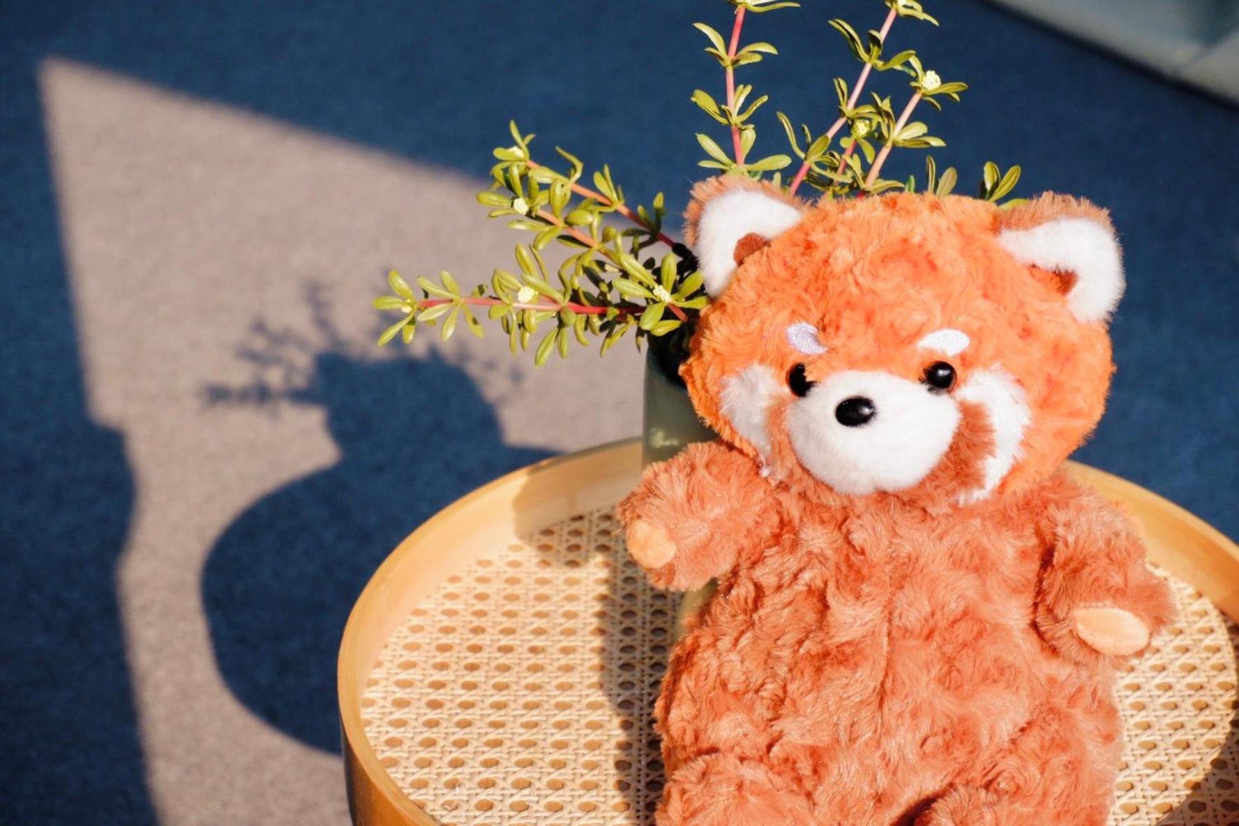 Redpanda & Cafe