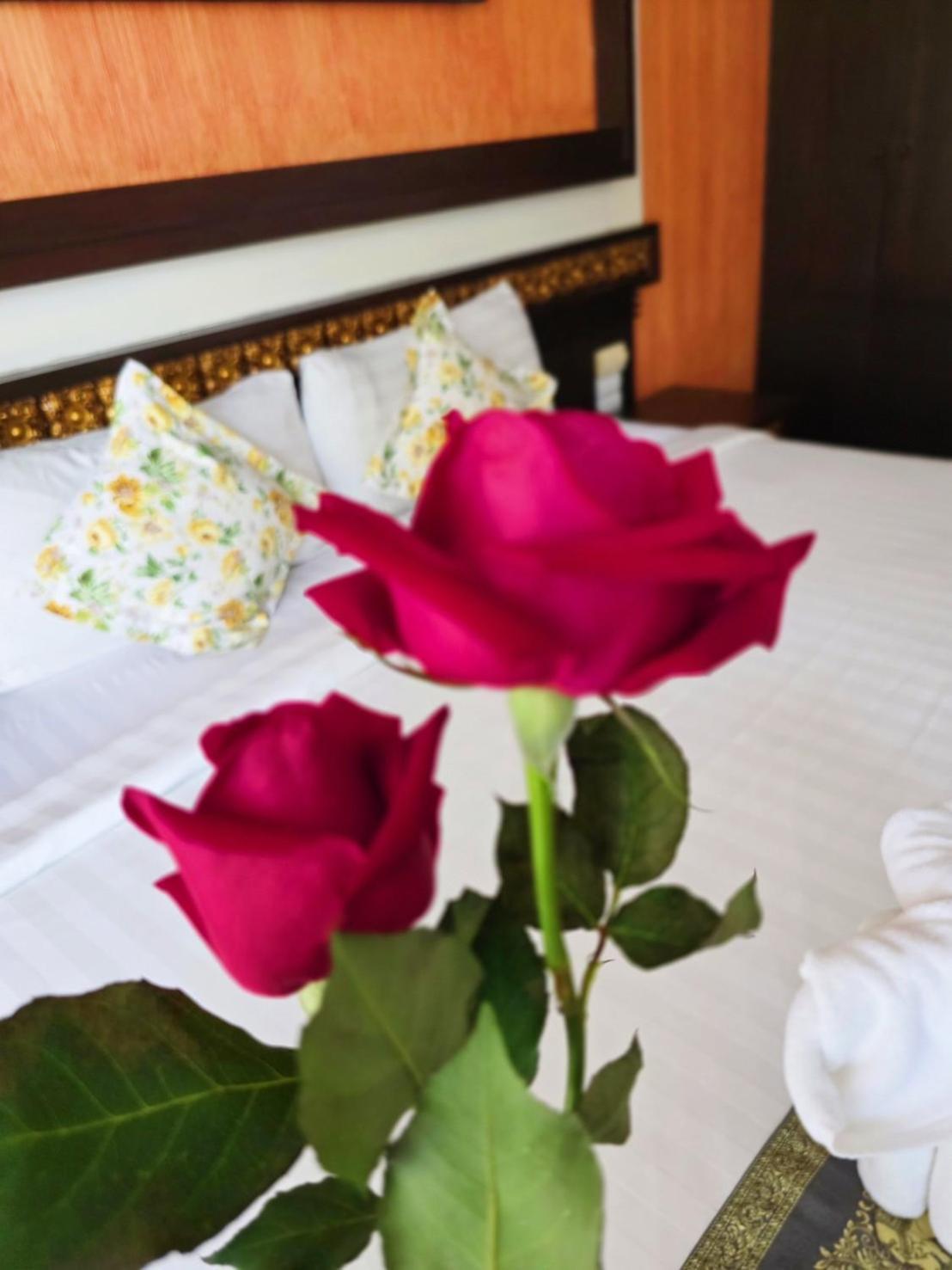 Mountain Creek Wellness Chiang Mai