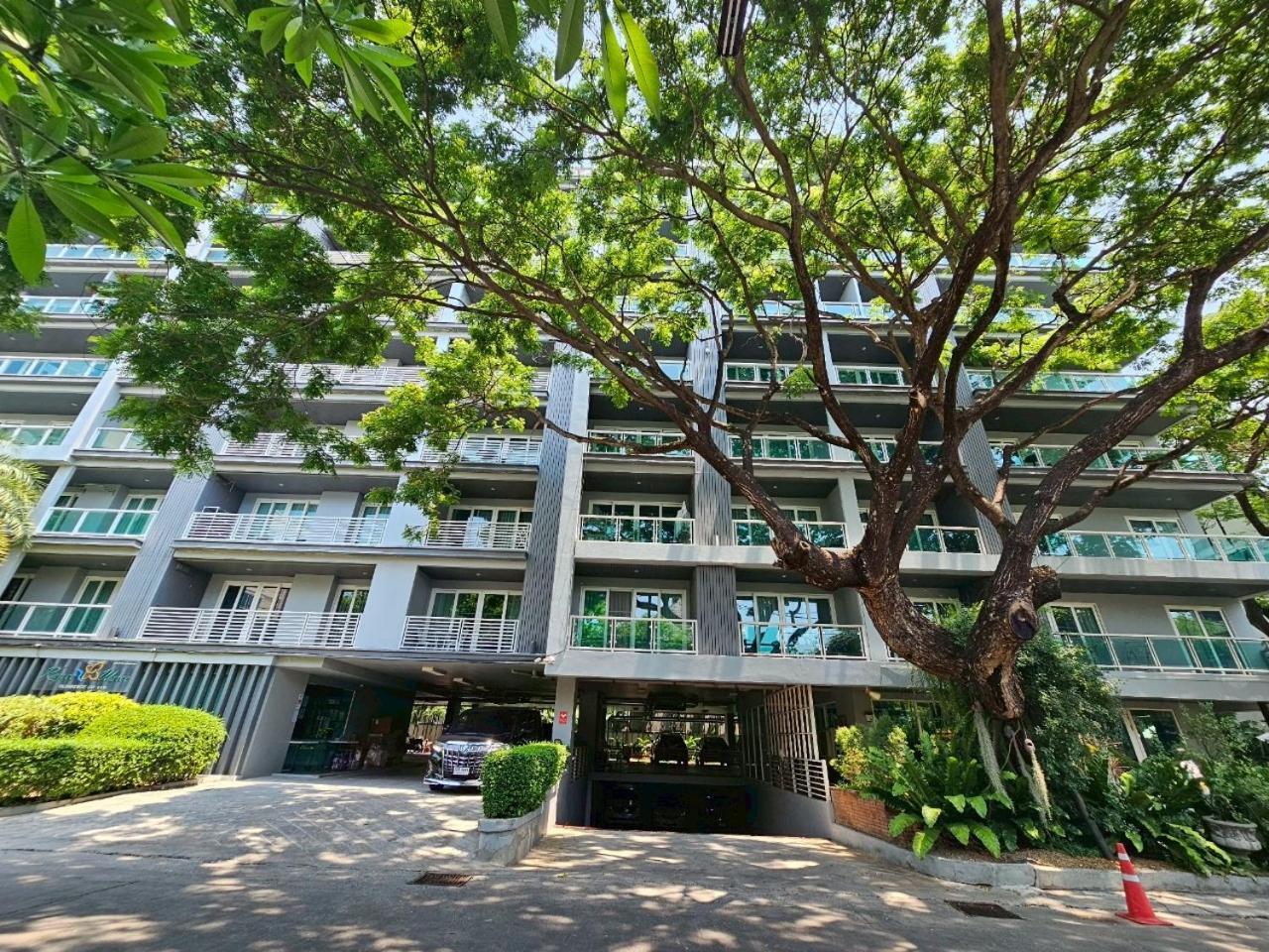 Modern Style 1br / Large Balcony At Nimman Apartment Chiang Mai