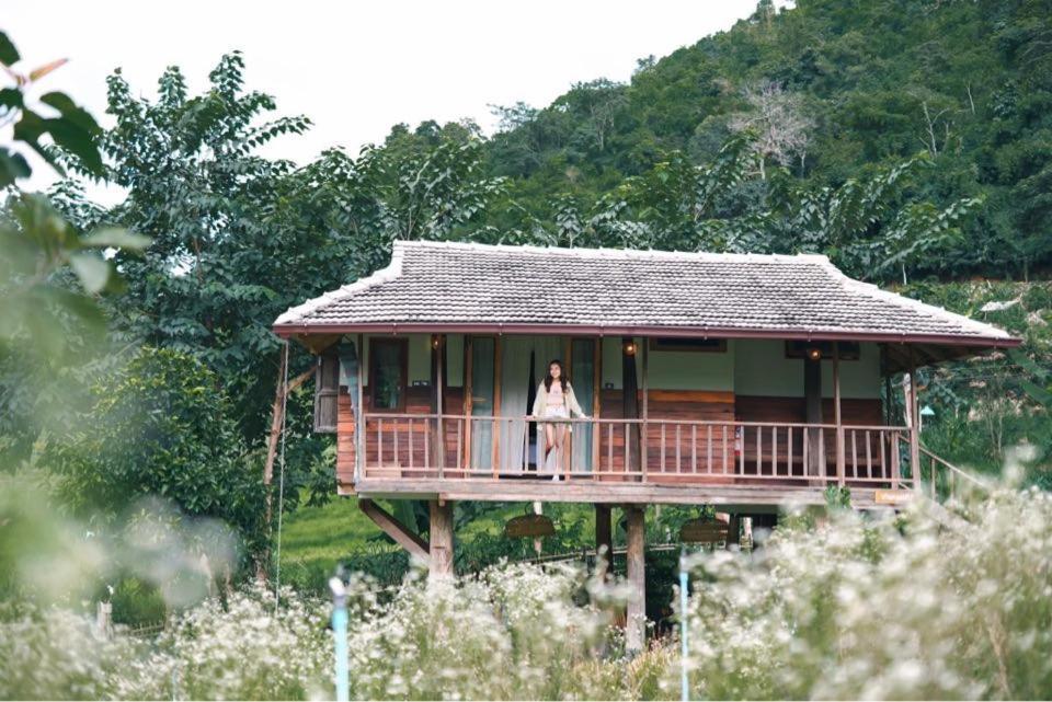 Farm stay Mori Natural Farm *