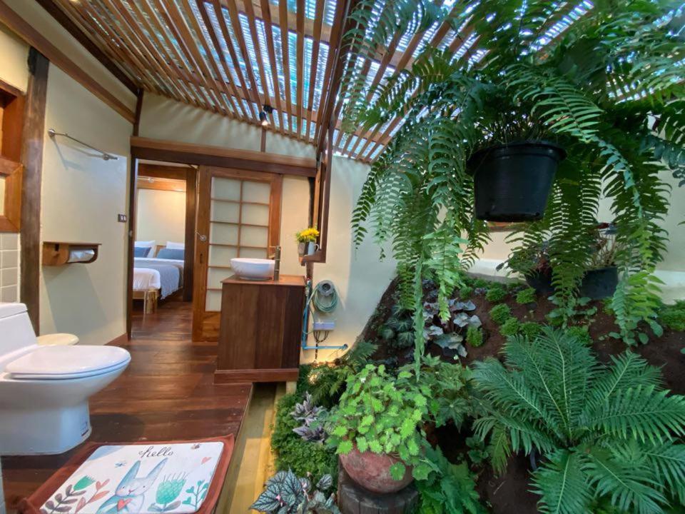 Farm stay Mori Natural Farm Chiang Mai