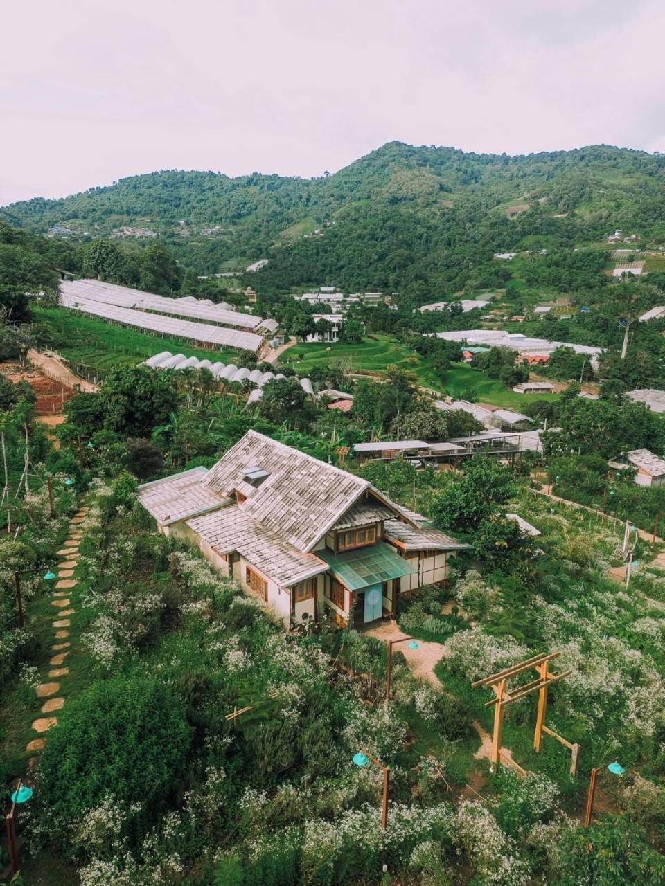 Mori Natural Farm Chiang Mai
