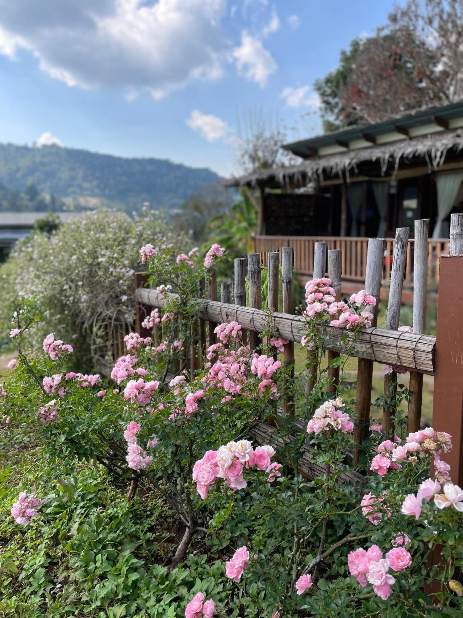 Farm stay Mori Natural Farm