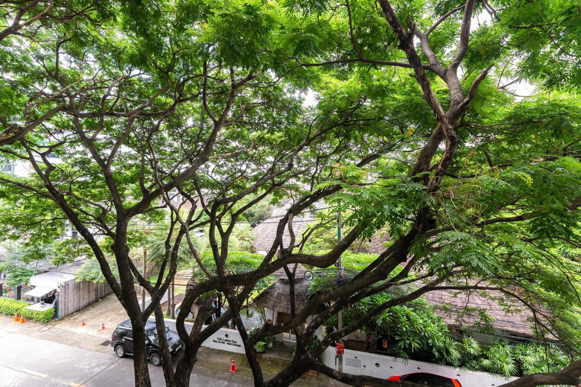 Modern Style 1br / Large Balcony At Nimman Apartment