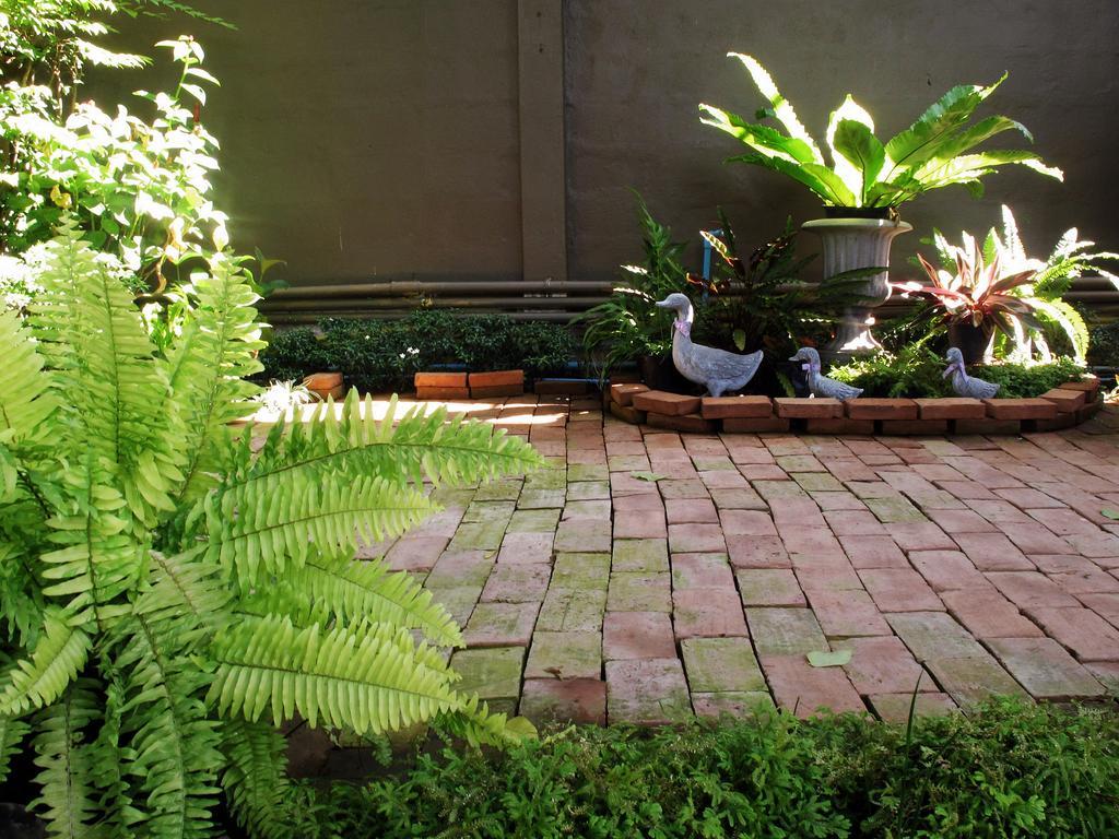 Guest house The White Elephant 3*