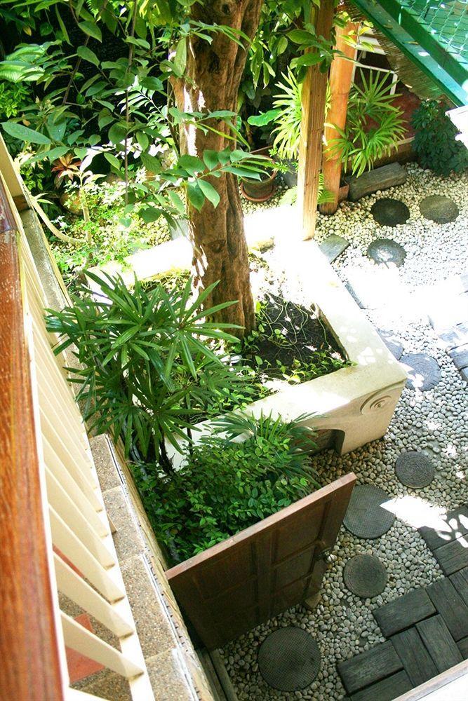 Alexa Nimman Hostel Chiang Mai
