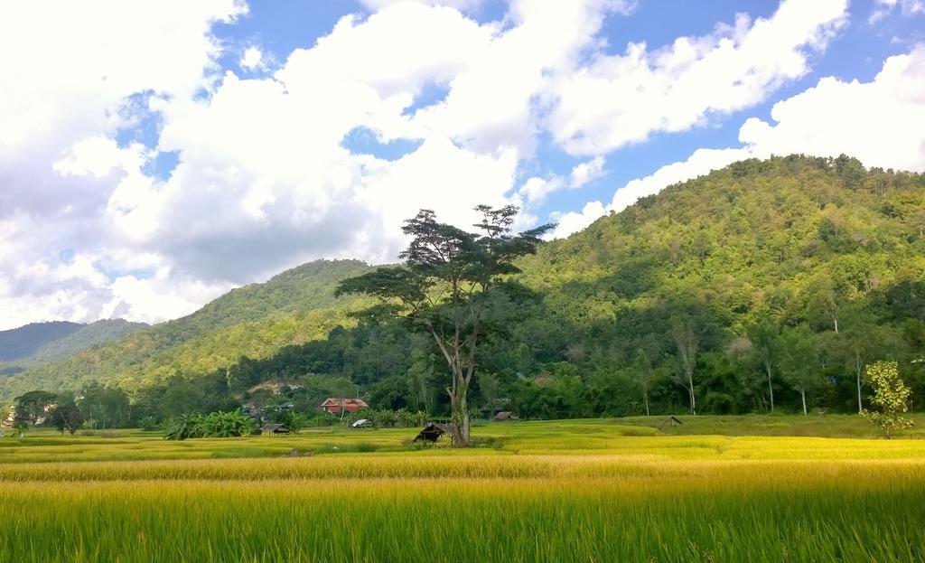 Bulunburi 3*
