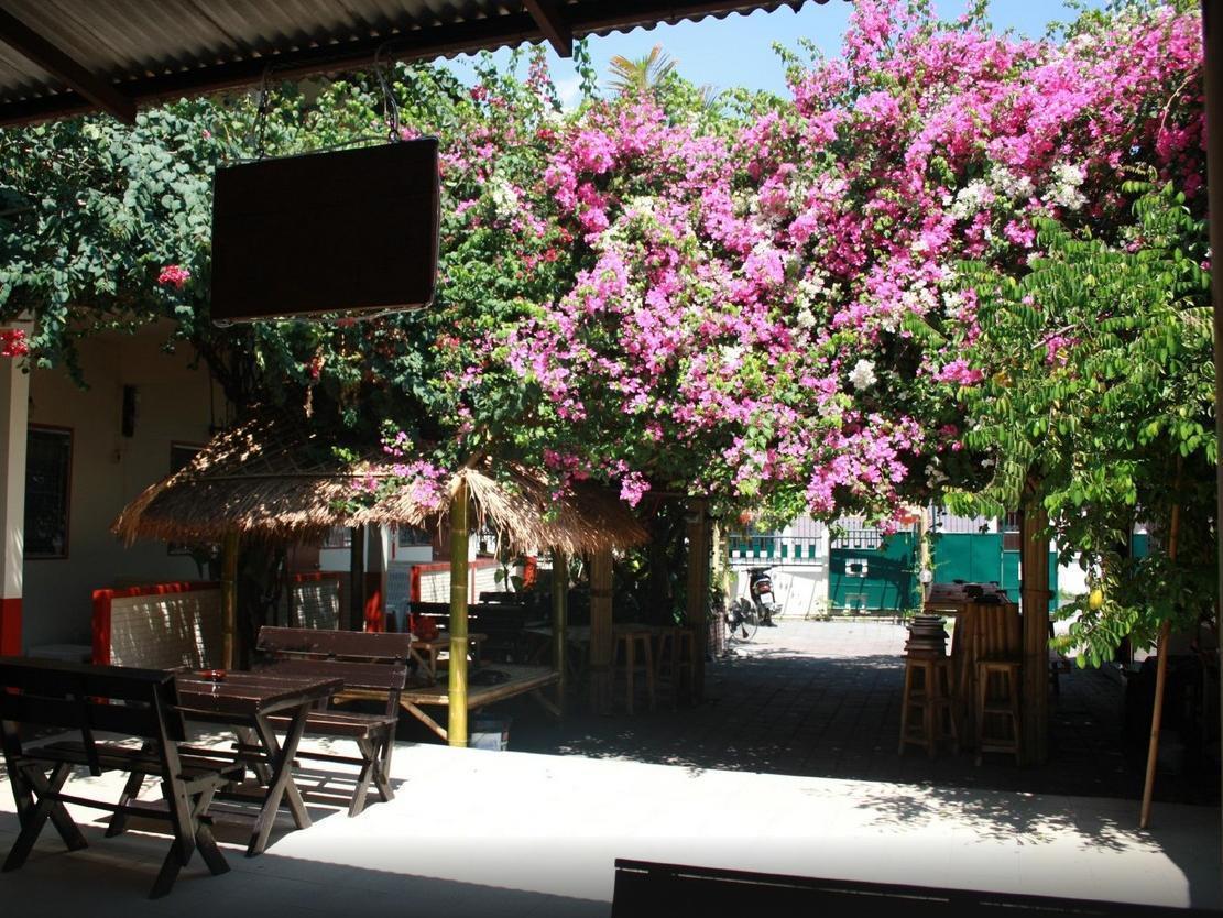 Guest house Lek