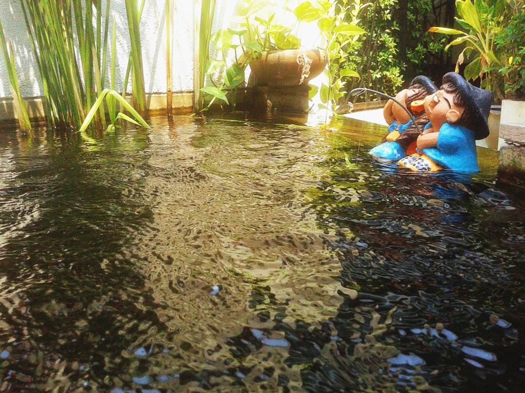 Hotel Ganesha House 3*