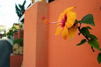 Thaphae Garden Guest house Chiang Mai
