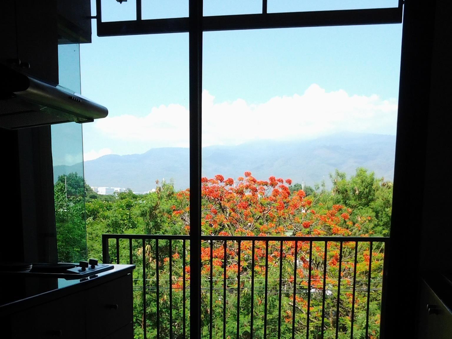 Apartment Tree Boutique Chiang Mai
