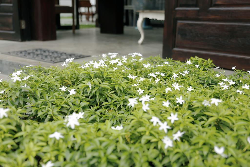 Mona Chiangmai Boutique 3* Chiang Mai