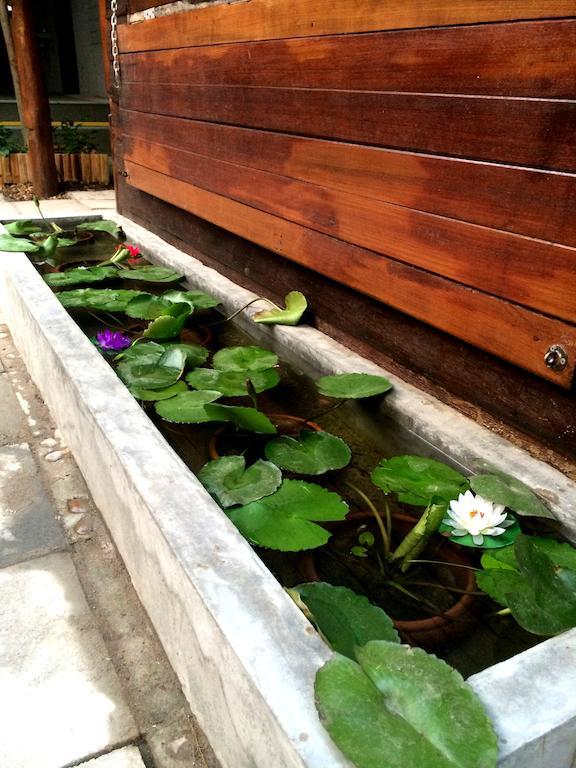 Green House Backpacker Chiang Mai