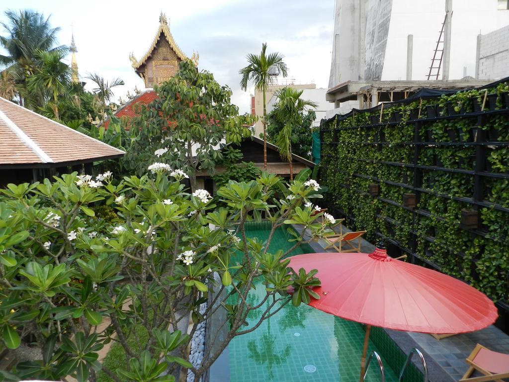 Baan Saen Fang - Sha